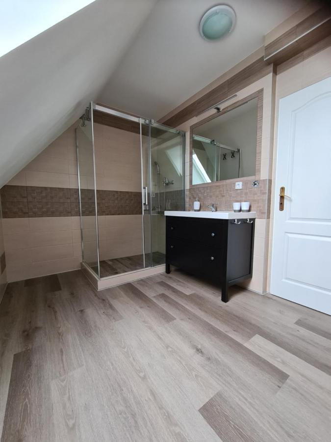 Luxusni Mezonetovy Apartman Bellevue - Novy بينيكو المظهر الخارجي الصورة